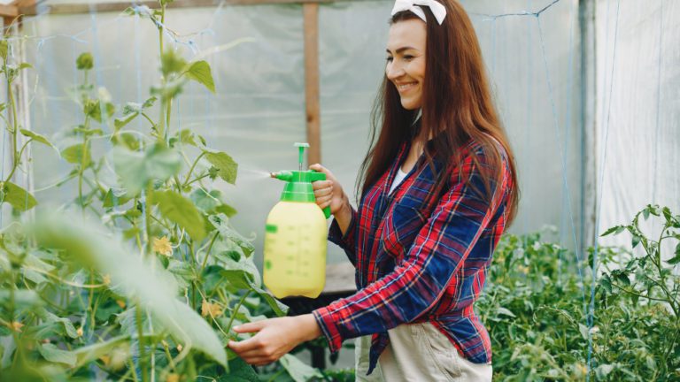 Pulverizador de Plantas