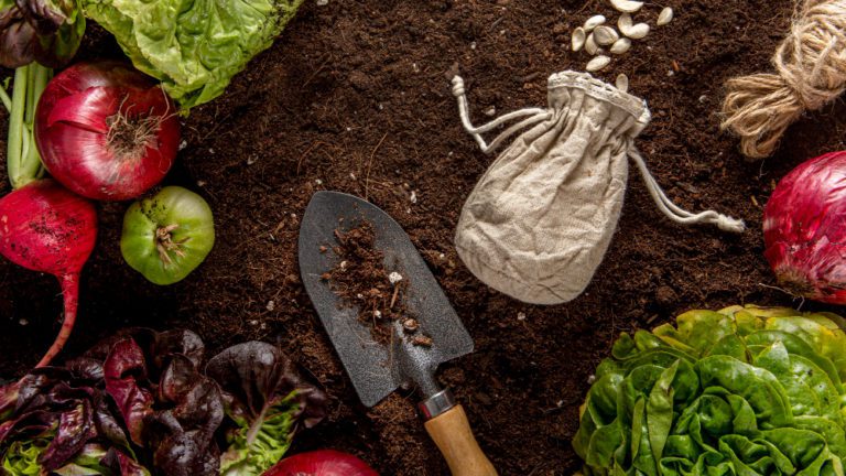 Guia Completo para Montar uma Horta Orgânica em Casa