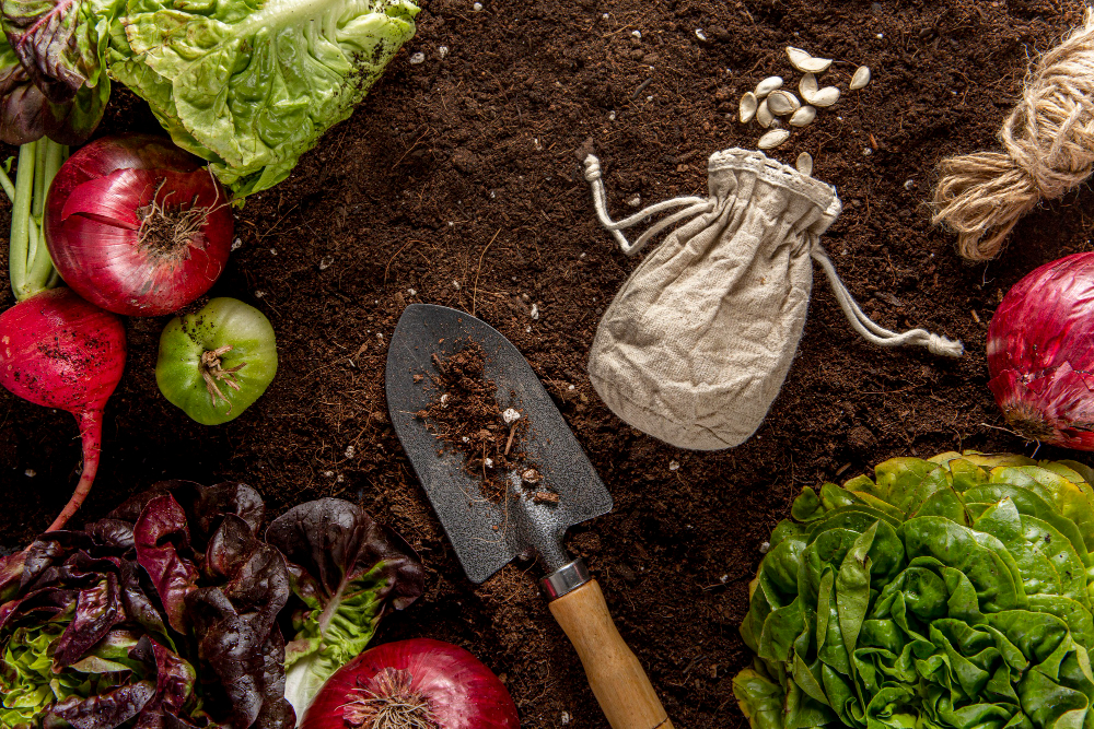 Guia Completo para Montar uma Horta Orgânica em Casa